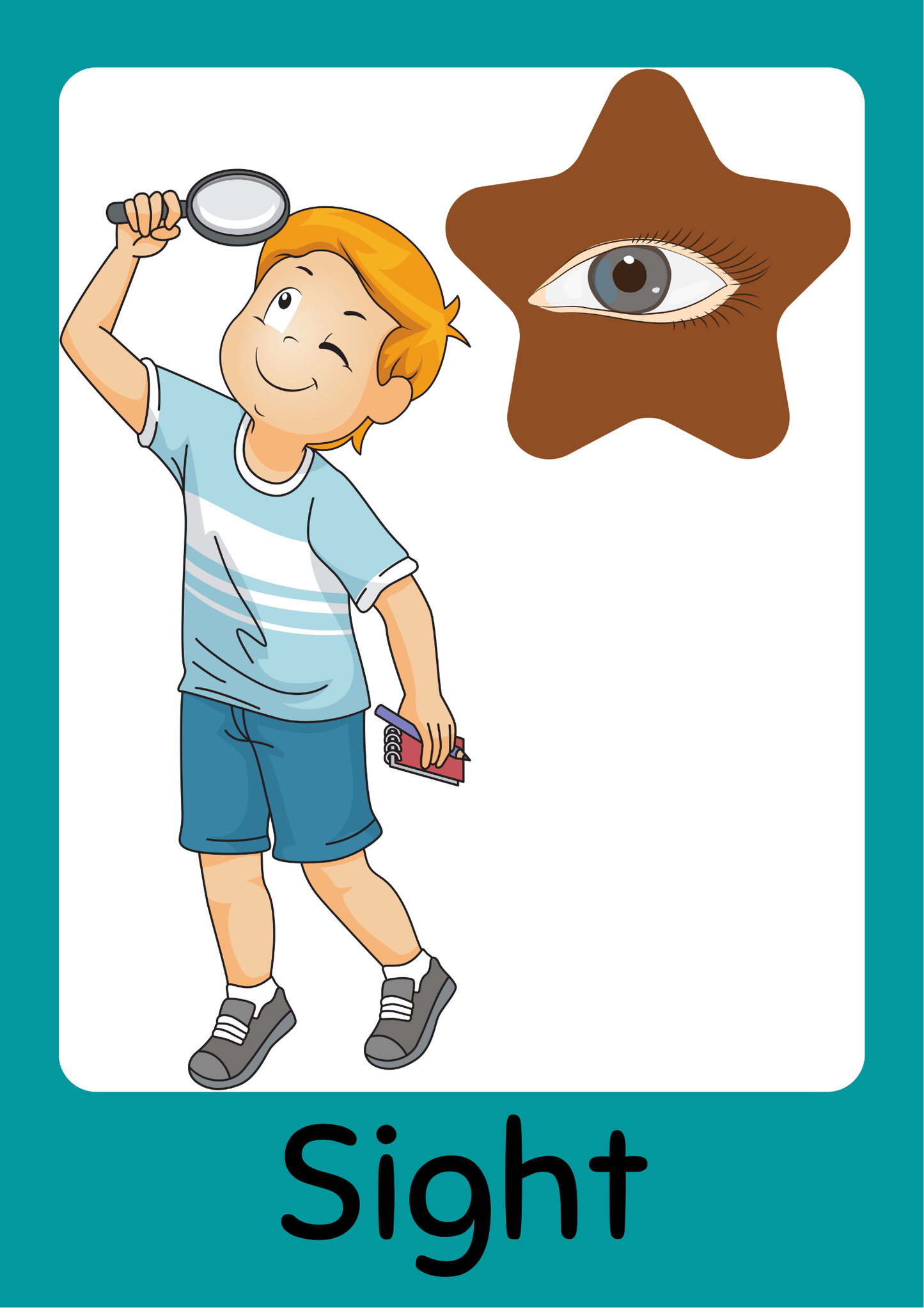 Flash Cards Mega Learning Bundle – 300+ Printable Flash Cards for Kids (Ages 2–7)